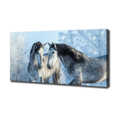 Foto op canvas Grijze paarden in de winter
