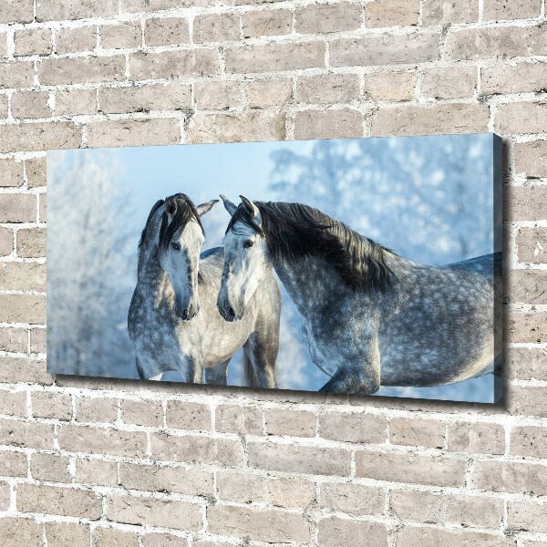 Foto op canvas Grijze paarden in de winter