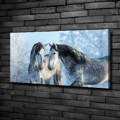 Foto op canvas Grijze paarden in de winter