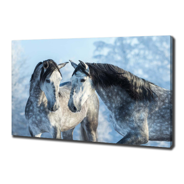Foto op canvas Grijze paarden in de winter