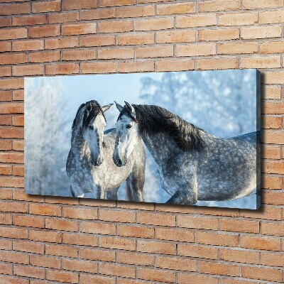 Foto op canvas Grijze paarden in de winter