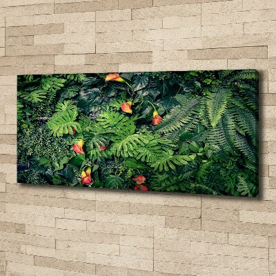 Schilderij op canvas Exotische jungle