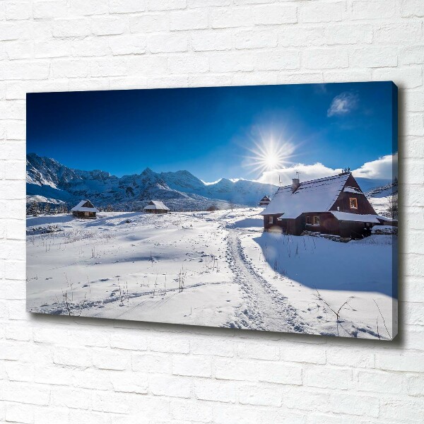 Foto obraz canvas Hale Tatry