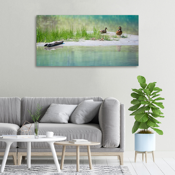 Foto canvas Eenden bij het water