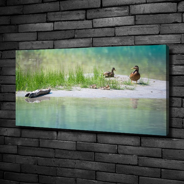 Foto canvas Eenden bij het water