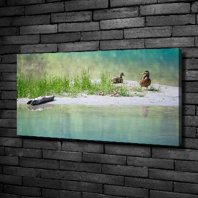 Foto canvas Eenden bij het water