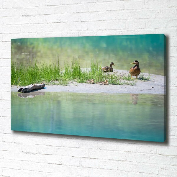 Foto canvas Eenden bij het water