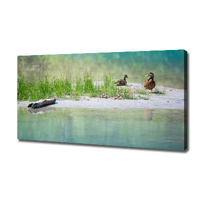 Foto canvas Eenden bij het water