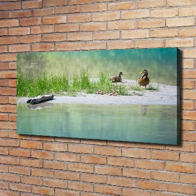 Foto canvas Eenden bij het water