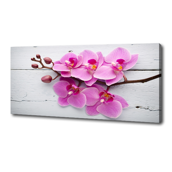 Foto canvas Orchidee op hout