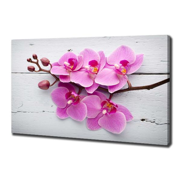 Foto canvas Orchidee op hout