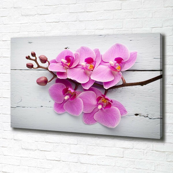 Foto canvas Orchidee op hout