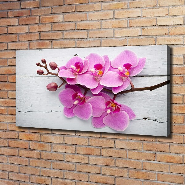 Foto canvas Orchidee op hout