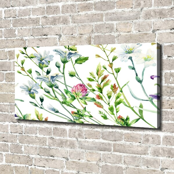 Canvas foto Wilde bloemen