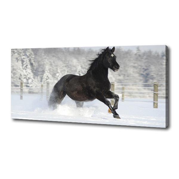 Foto op canvas Een paard dat galoppeert in de sneeuw