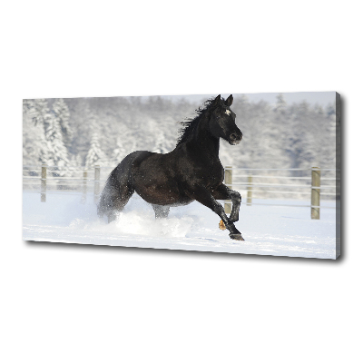 Foto op canvas Een paard dat galoppeert in de sneeuw