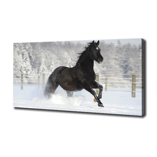 Foto op canvas Een paard dat galoppeert in de sneeuw