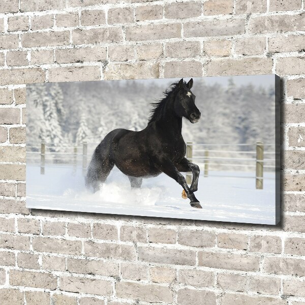 Foto op canvas Een paard dat galoppeert in de sneeuw