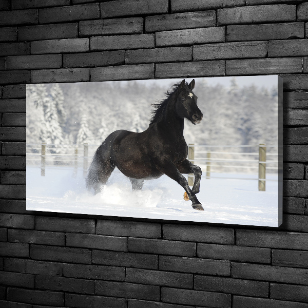 Foto op canvas Een paard dat galoppeert in de sneeuw