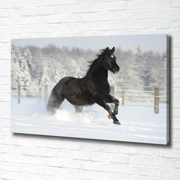 Foto op canvas Een paard dat galoppeert in de sneeuw