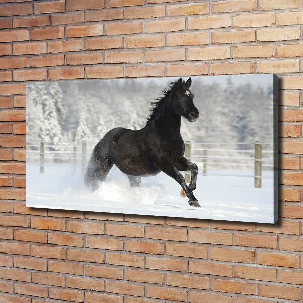 Foto op canvas Een paard dat galoppeert in de sneeuw