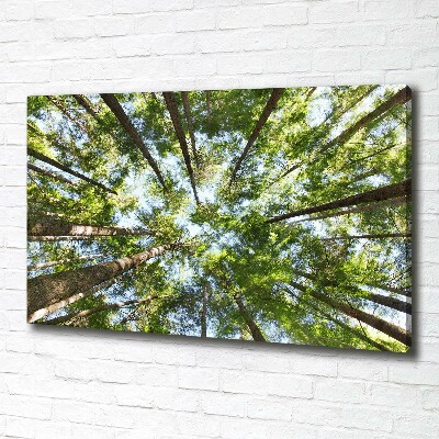 Schilderij op canvas Boomkroon