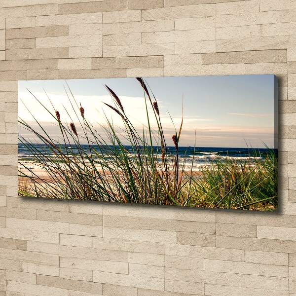 Foto op canvas duinen aan zee