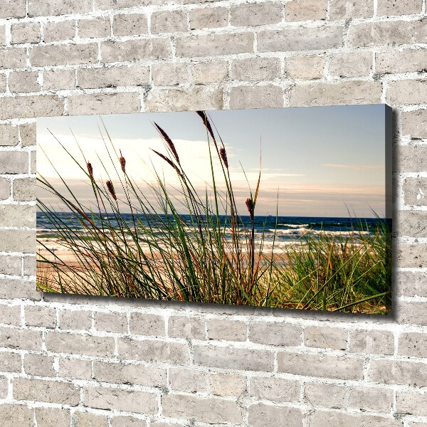 Foto op canvas duinen aan zee