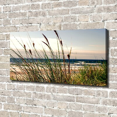 Foto op canvas duinen aan zee
