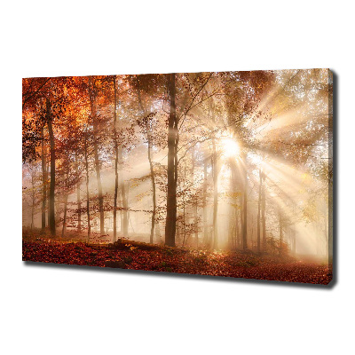 Canvas foto Mist in het herfstbos