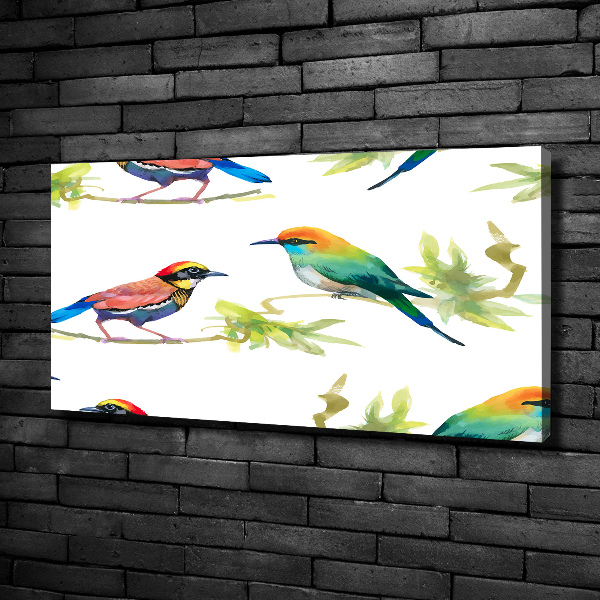 Schilderij op canvas Exotische vogels