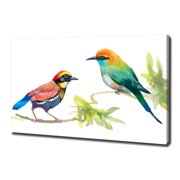 Schilderij op canvas Exotische vogels