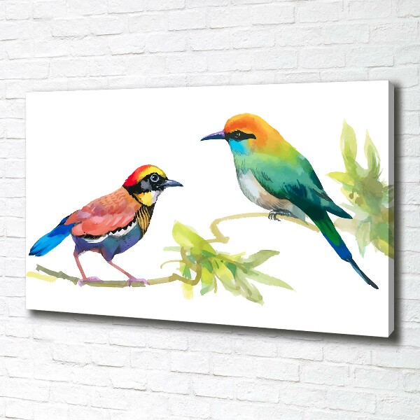 Schilderij op canvas Exotische vogels