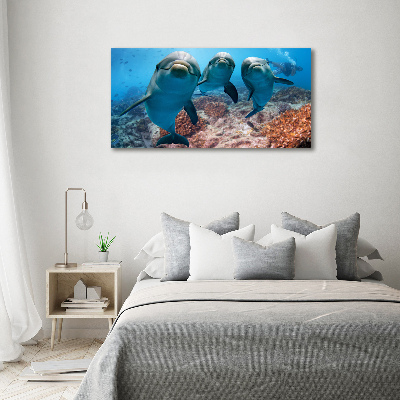 Foto obraz canvas Delfiny