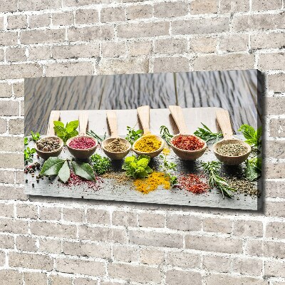 Schilderij op canvas Kleurrijke kruiden