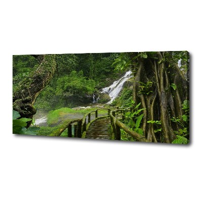 Foto canvas Waterval in de jungle