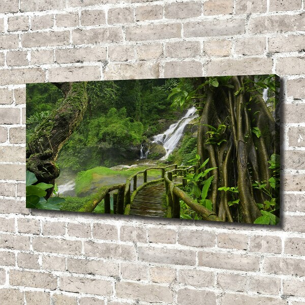 Foto canvas Waterval in de jungle