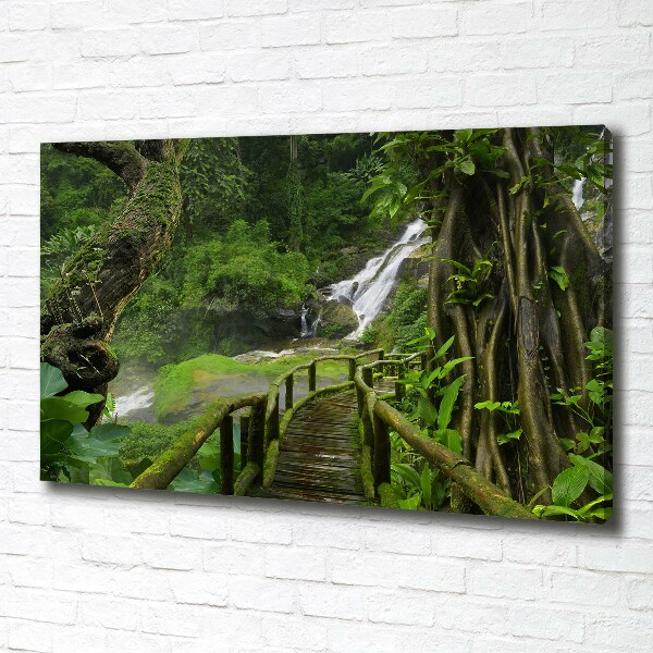 Foto canvas Waterval in de jungle