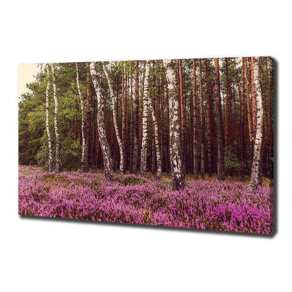 Foto op canvas Moor