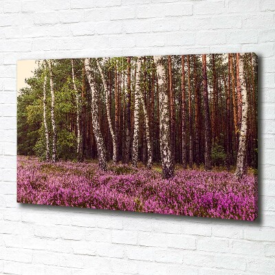 Foto op canvas Moor