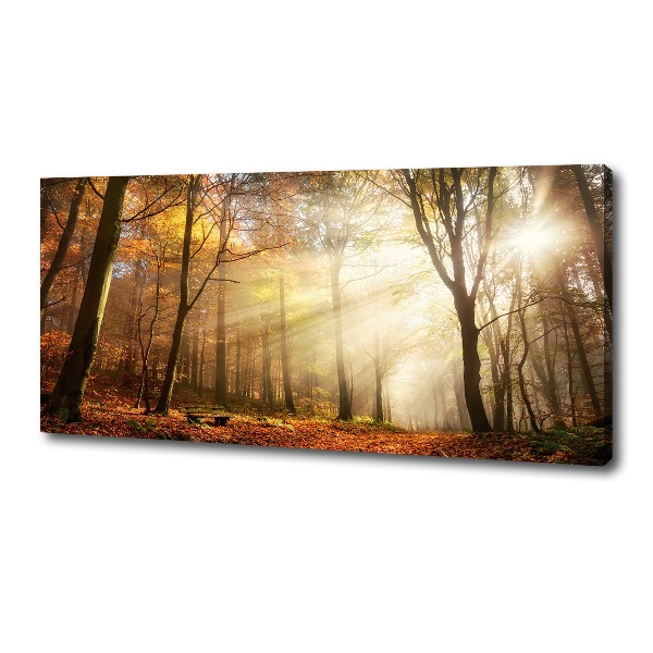 Canvas foto Mist in het bos
