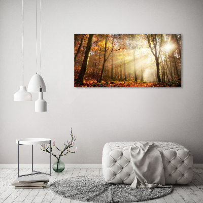 Canvas foto Mist in het bos