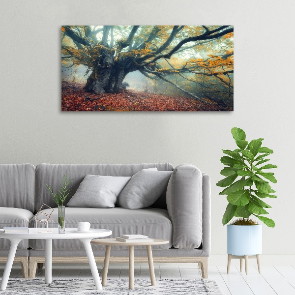 Canvas foto Oude boom