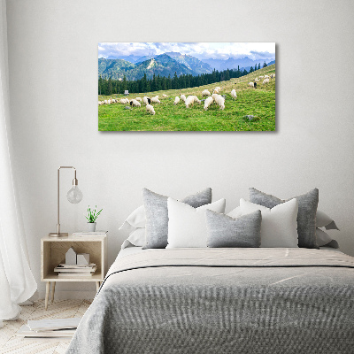Schilderij op canvas Schapen in het Tatragebergte