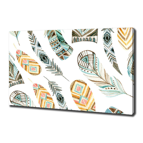 Foto op canvas Etnische veren