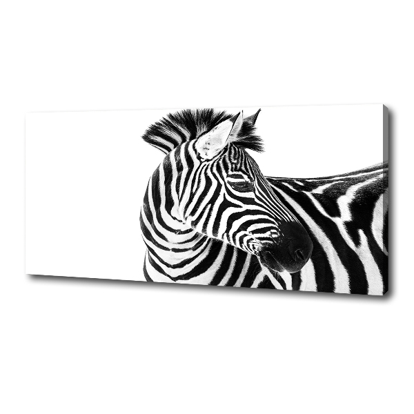 Foto canvas Zebra in de sneeuw