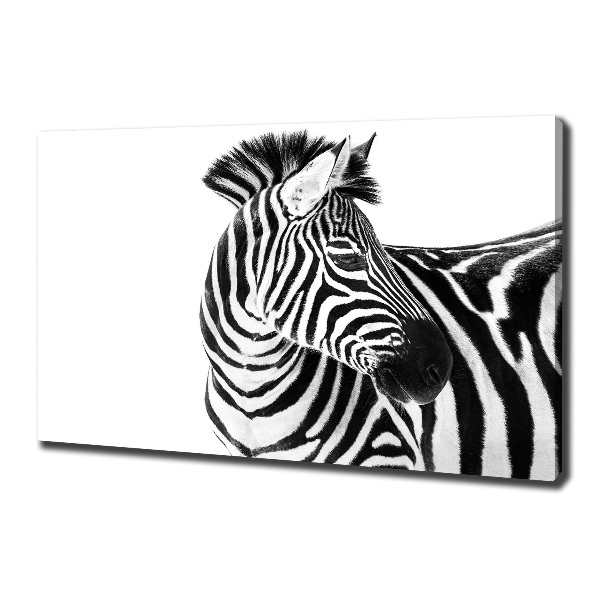Foto canvas Zebra in de sneeuw