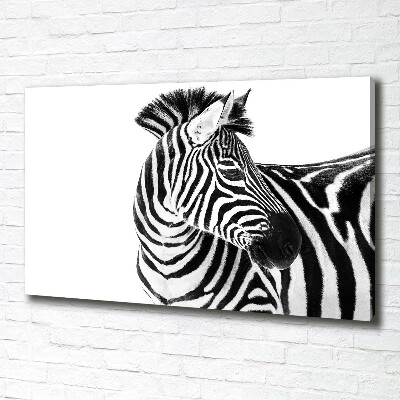 Foto canvas Zebra in de sneeuw