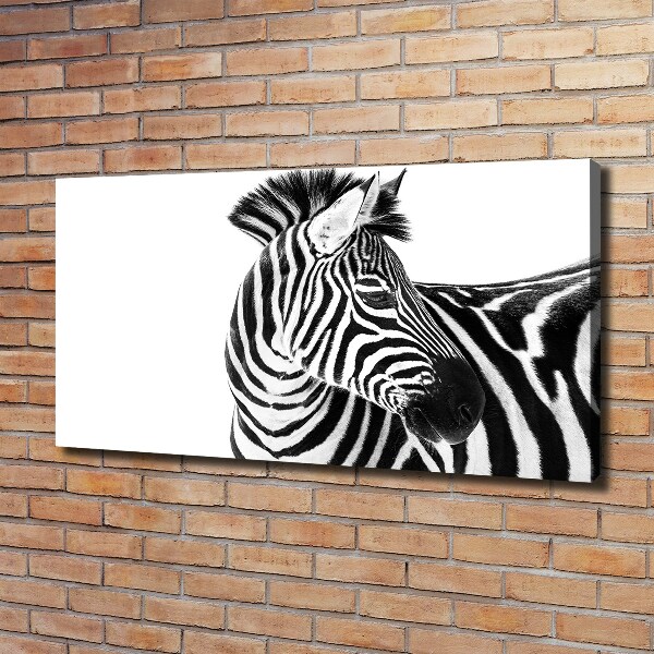 Foto canvas Zebra in de sneeuw