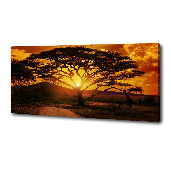 Canvas foto West-Afrika